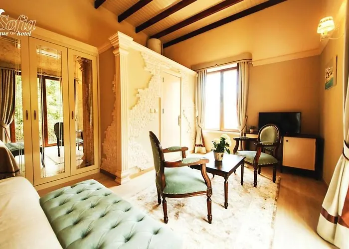 ホテル Sofia Boutique