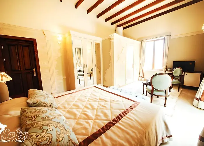 Sofia Boutique ホテル 3*