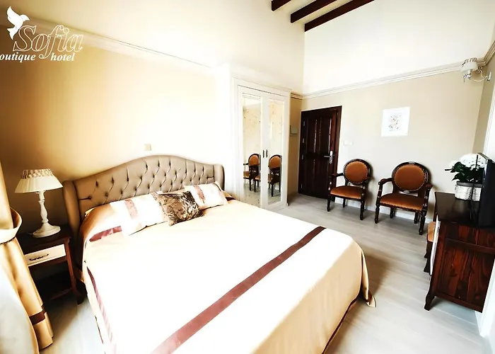 Sofia Boutique ホテル 3*