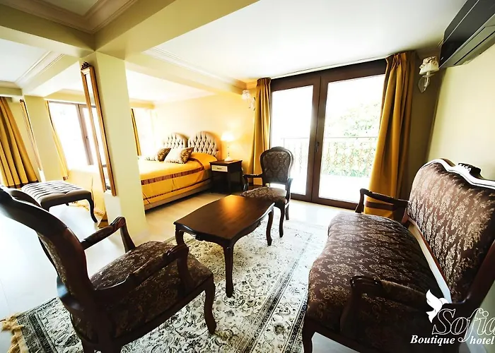 ホテル Sofia Boutique 3*