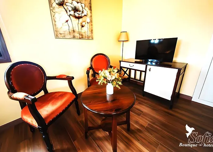 Sofia Boutique ホテル