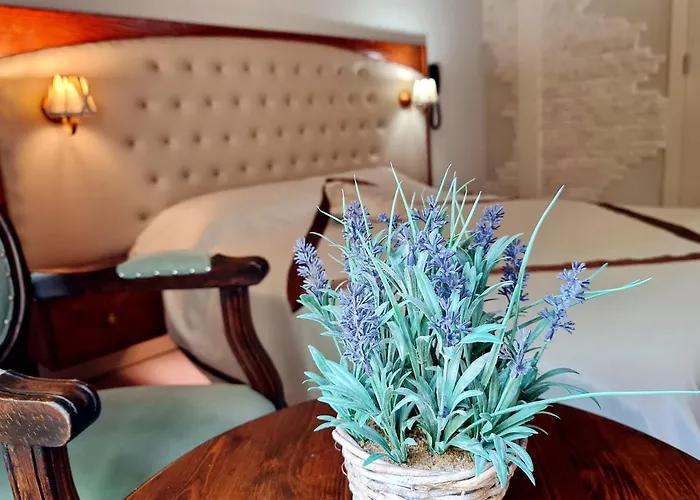 Sofia Boutique ホテル