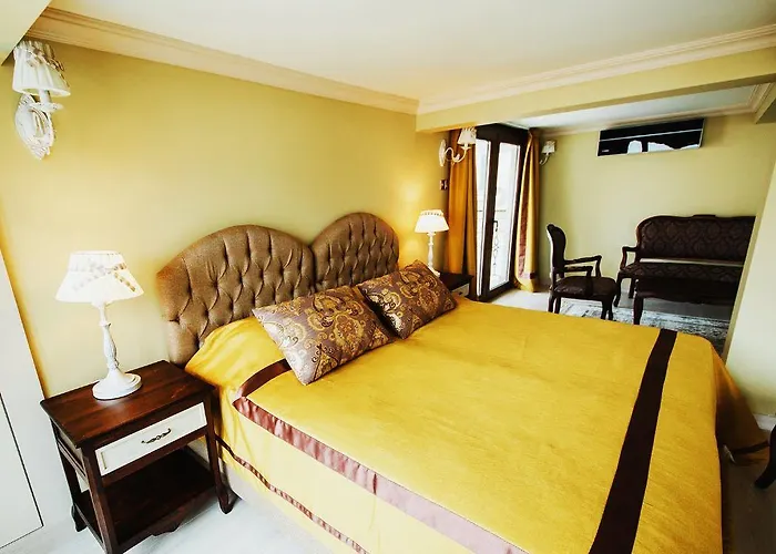 Sofia Boutique ホテル 3*