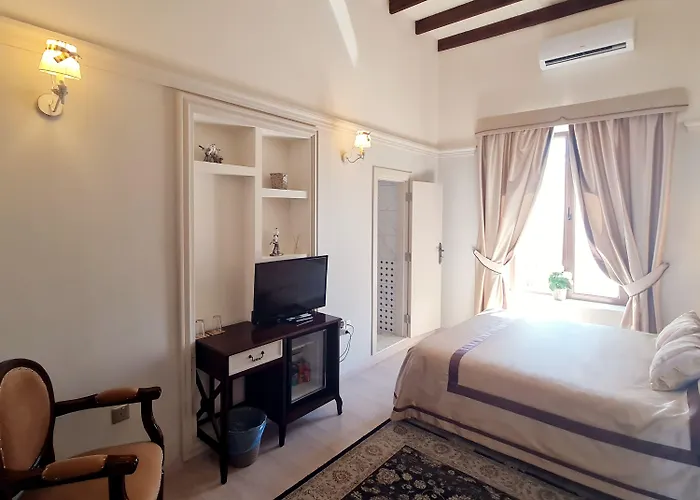 Sofia Boutique ホテル 3*