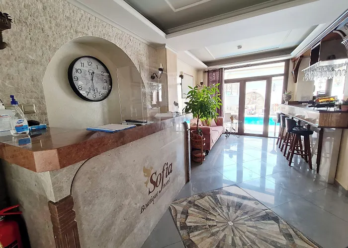 Sofia Boutique ホテル 3*