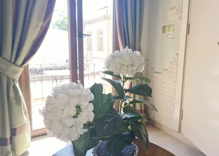 ホテル Sofia Boutique キレニア