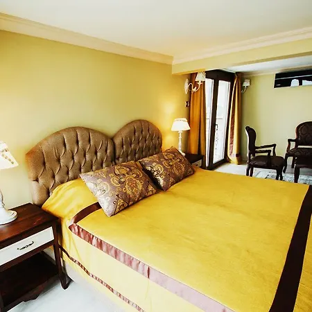 Sofia Boutique Hotel 3*