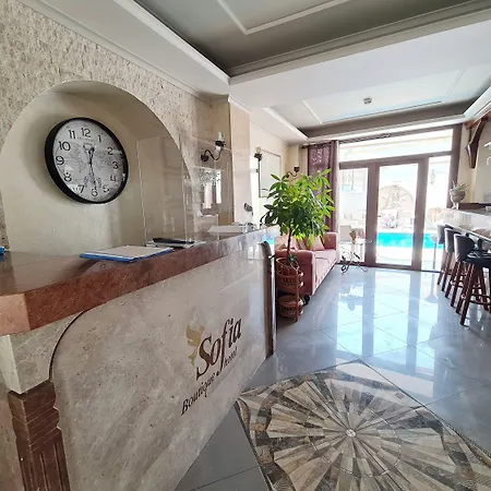 Sofia Boutique Hotel 3*