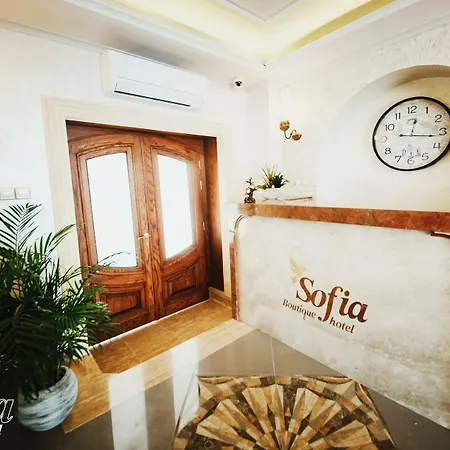 Sofia Boutique 키레니아